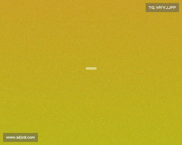 鹏城杯最新消息